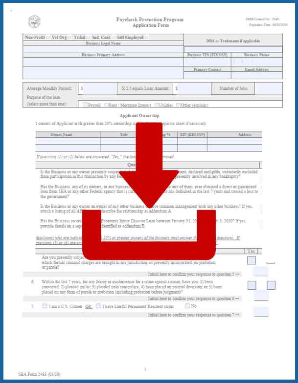 Paycheck Protection Program Loan Application Form