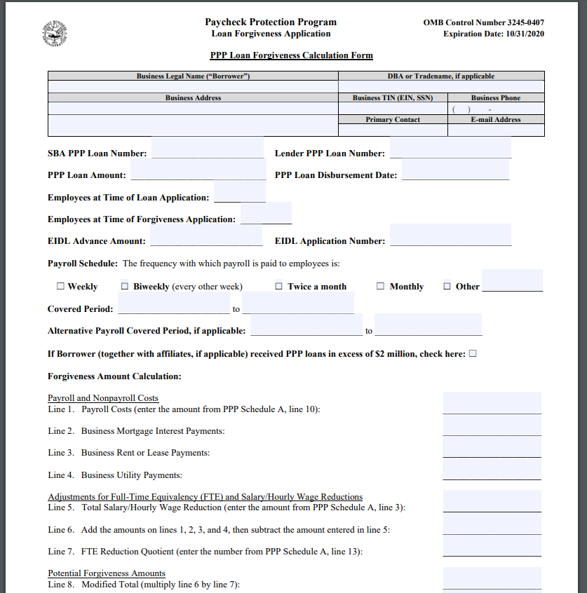 PPP Loan Forgiveness Application Form